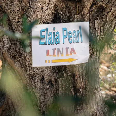 Elaia Pearl Apartament